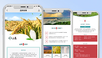 青島網(wǎng)頁設(shè)計(jì)效果